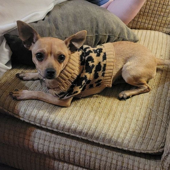 Meet your Posher, Ashley - Picture 7 of 7